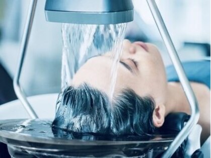 トリ(tori)の写真