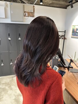 ディライト(Delight) パープルカラー