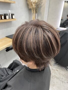 ノアル(NOAHL) G 白髪ぼかしハイライト/ナチュラルハイライト