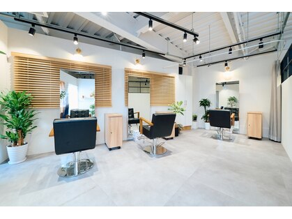 フォレスト(Forest)の写真