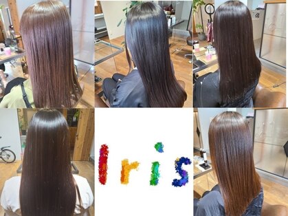 イリス(Iris)の写真