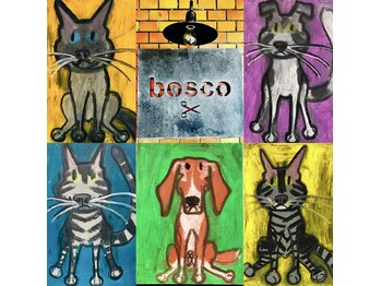 bosco【ボスコ】　下北沢店
