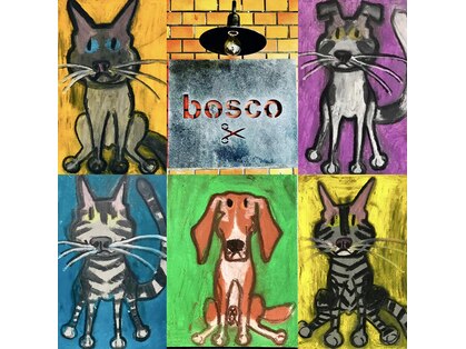 ボスコ 下北沢店(bosco)の写真