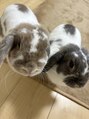 フーコー 朝日ヶ丘店(fuhcoh)&nbsp;ウサギ2匹飼ってます！！^o^ボンちゃんビビちゃんです♪