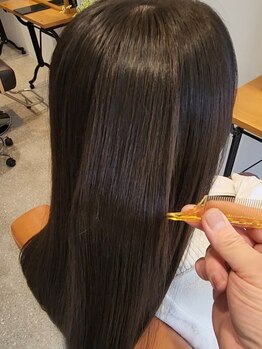 シー(seh)の写真/《次世代型髪質髪質トリートメント、PLANT PLEXを使ったまったく新しいトリートメント》