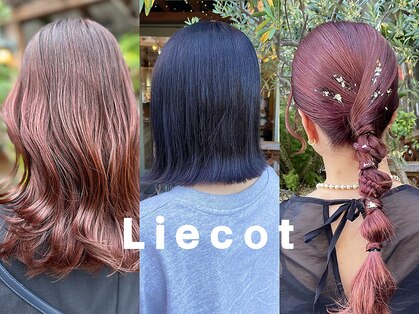 リコット 与野(Liecot)の写真