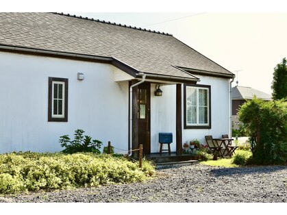 クローバー(clover)の写真