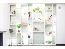 白が基調の店内には緑がいっぱい☆