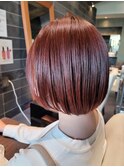 ミニボブ×レッド