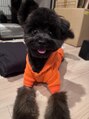 ルミヘアー 県庁藤江店(Lumi hair) 愛犬ココ♂ワンコ大好きです
