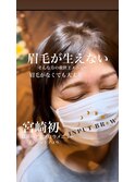 【眉毛革命】インプットブロウ