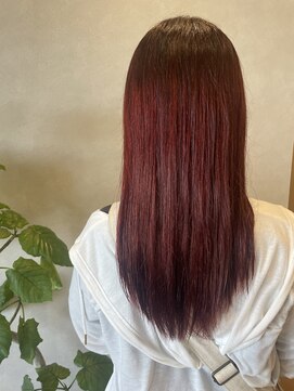 ゴートファクトリー(G.O.A.T factory) ボルドーカラー