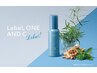 《夏季限定》【チルするシャンプーでリフレッシュ】HDスパ　￥５５００