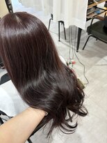 トリムバイエンヴィ(tlim by ENVY)&nbsp;ブリーチなしダブルカラー/パープルカラー