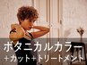 新規｜カット+ボタニカルカラー+トリートメント(20%off)￥19,800→