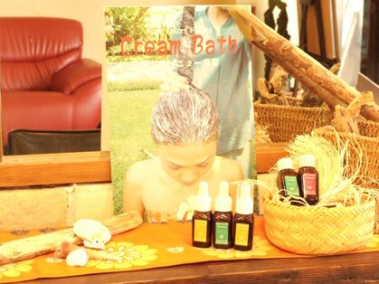 ソラ(Sora)の写真