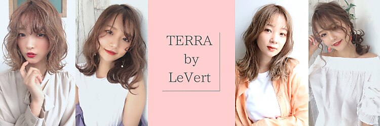 テラバイルヴェール 各務原(TERRA by LeVert)のサロンヘッダー