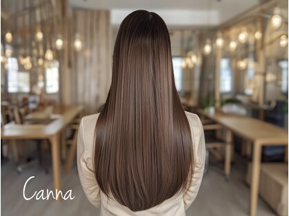 カンナ つくばみどりの(Canna)の写真