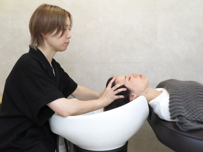 プレモフィル(premofil)の写真