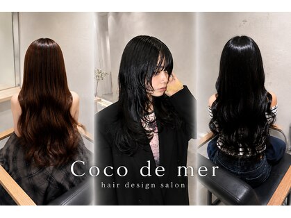 ココデメル(Coco de mer)の写真