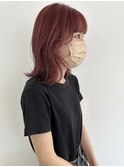 福井 大和田 チェリーピンク ダブルカラー 10代 20代