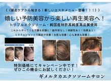 ギメルタカヘアーサロンの雰囲気（【純国産トリプルエクソソームミラクルショット】髪活！肌育！）