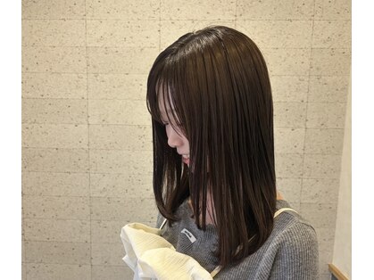 ガジュマル(gajumaru)の写真