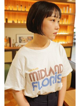 ロスタークラス(ROSTAR class) ボブ