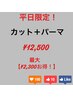 【平日限定！】カット + パーマが￥12500！　￥2300お得！