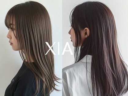 シア(XIA)の写真