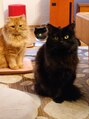 トーストアンドバナナズ 下高井戸(TOAST&BANANAS) ダルシムとなまずという変な名前の元保護猫を飼っています