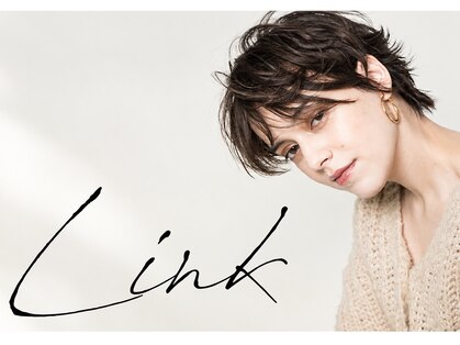 リンク(Link)の写真