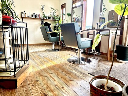 アルブル(Arbre)の写真