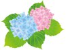 【前回から1カ月以内限定】リタッチカラー+ブロー