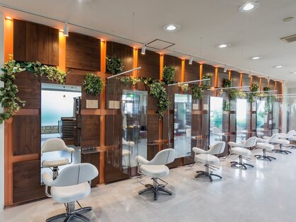 アトリエ atorieの写真