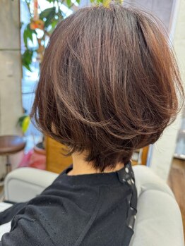 ガーベラ(gerbera)の写真/白髪が気になり始めた方に◎天然由来成分の薬剤だから髪や頭皮をいたわりながら綺麗に染まるのが魅力的♪