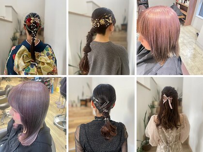フィルフィル(filfil)の写真
