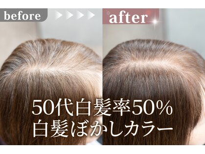 ルルン(Lu-Lun)の写真