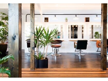 サロン ド トーゴ(Salon de togo)の写真