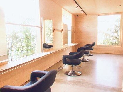 リッチオ(Riccio)の写真