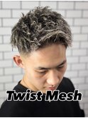 ツイスト×メッシュ