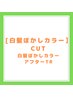 【白髪ぼかしコース】カット+ケアカラー+白髪ぼかしハイライト　17500円