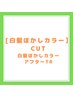 【白髪ぼかしコース】カット+ケアカラー+白髪ぼかしハイライト　17000円