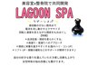 【新ヘッドスパ】《全員》カット＋ラグーンスパ　￥6600→￥6380