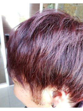 アムズヘアーファム チェリーレッド