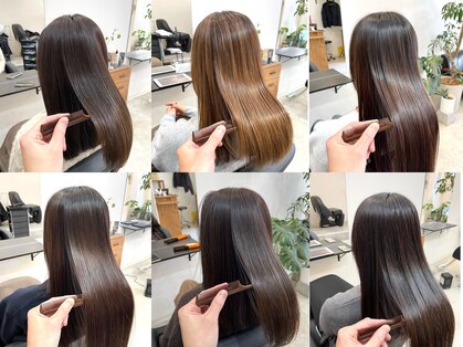 ヒト(Hito)の写真