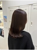 チョコブラウン