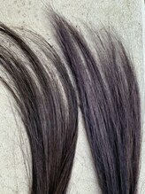 アレッタ(aletta)