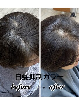 セシル(Cecil) 白髪抑制カラー