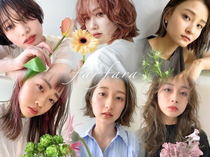 ファルファラ(farfara)の写真